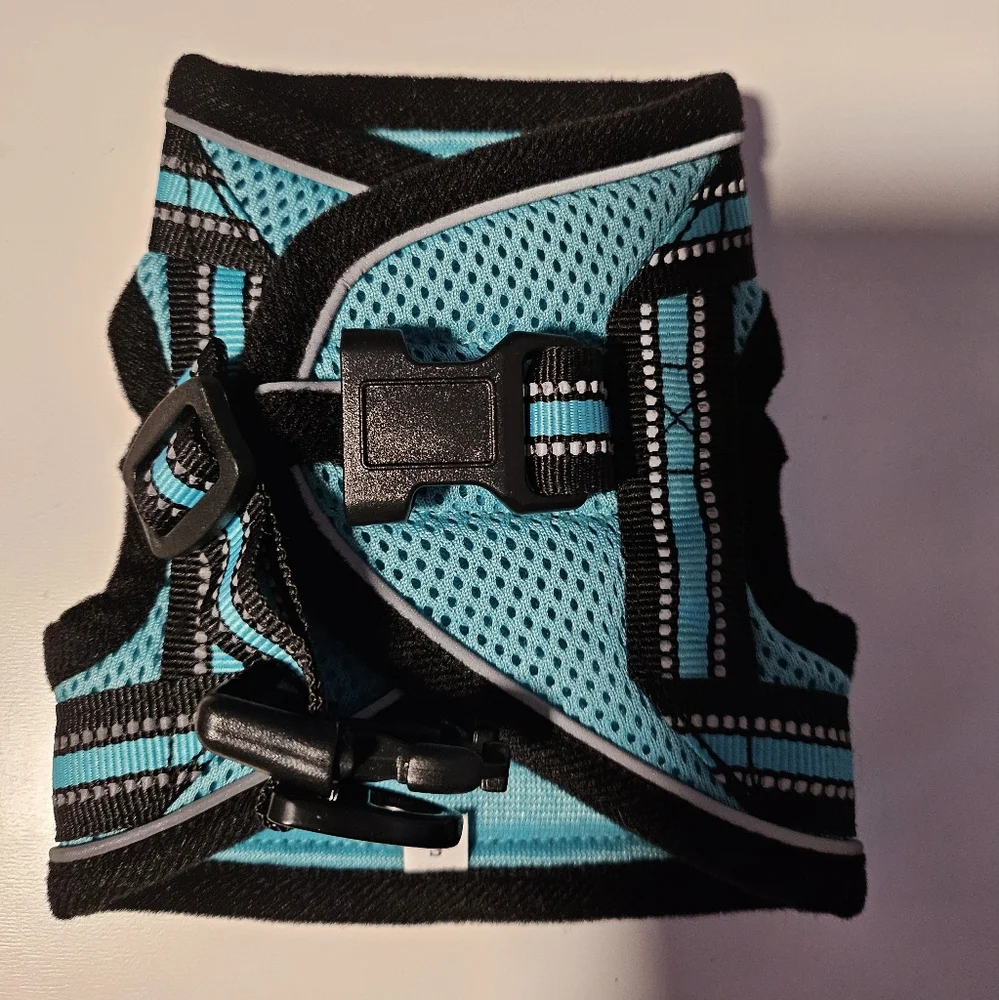 Small animal harness in teal with leash